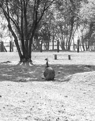 Similar image 21723154