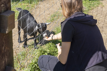 Similar image 21723156