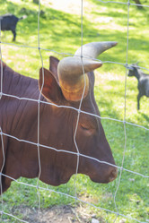 Similar image 21723161