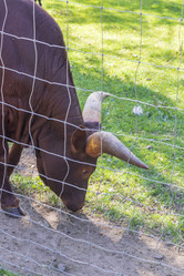 Similar image 21723162