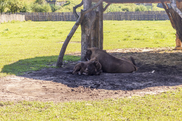 Similar image 21723164