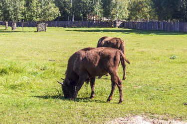 Similar image 21723165