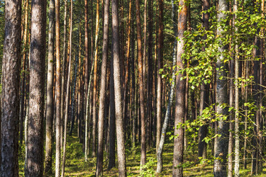 Similar image 21723169