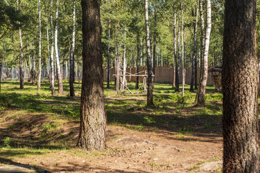 Similar image 21723448