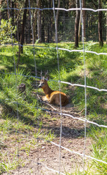 Similar image 21723454