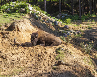 Similar image 21723456