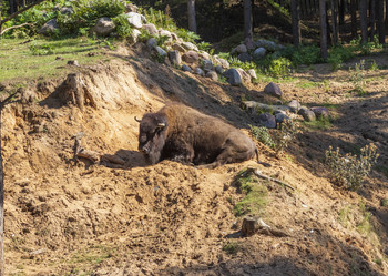 Similar image 21723458