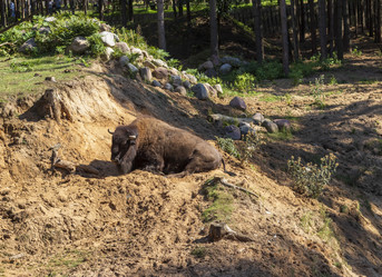 Similar image 21723461