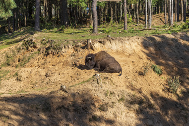 Similar image 21723463