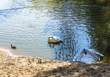 Similar image 21723464