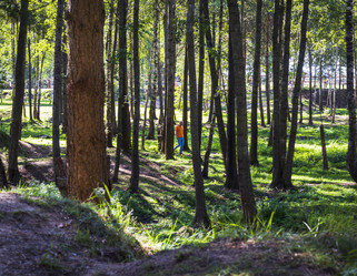 Similar image 21723651