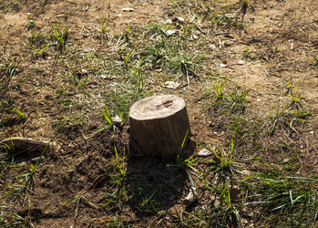 Similar image 21723657