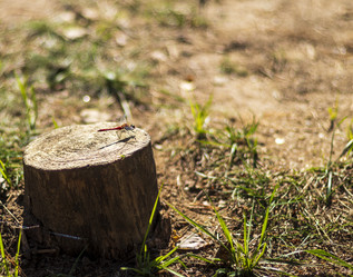 Similar image 21723660