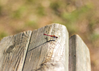 Similar image 21723665