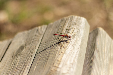 Similar image 21723671