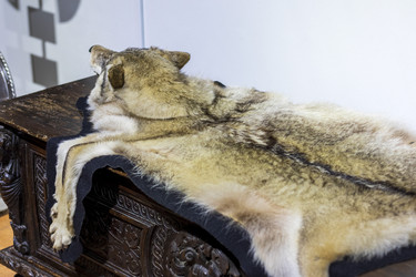 Similar image 21746929