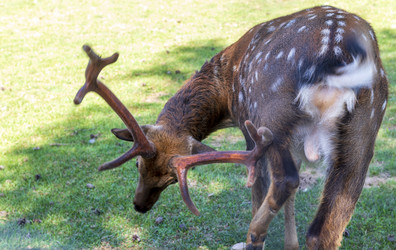 Similar image 21746930