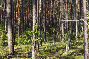 Similar image 21747981