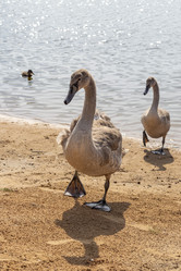 Similar image 21747982