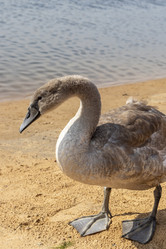 Similar image 21747986