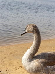 Similar image 21747988