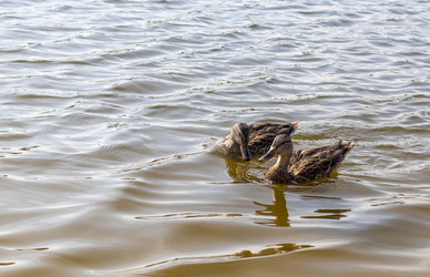 Similar image 21722734