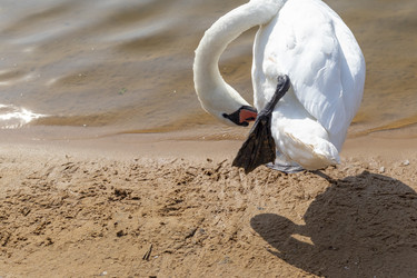 Similar image 21722738