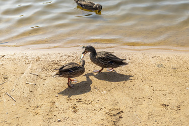 Similar image 21722742