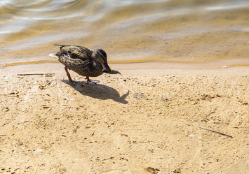 Similar image 21722744