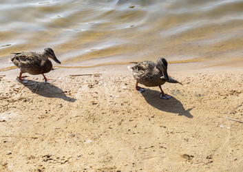 Similar image 21722746