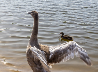 Similar image 21723170