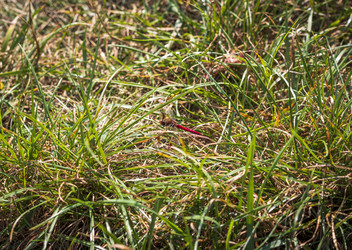 Similar image 21723182