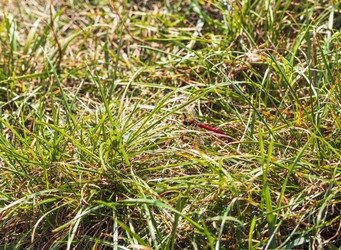 Similar image 21723184