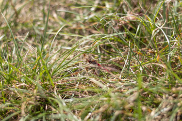 Similar image 21723186