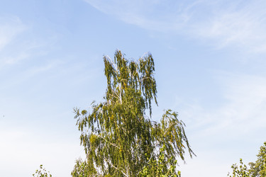 Similar image 21723198