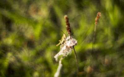 Similar image 21723202