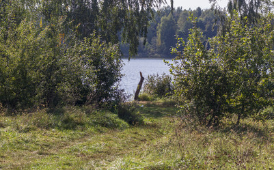 Similar image 21723204