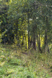 Similar image 21723216