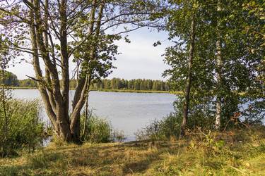 Similar image 21723225