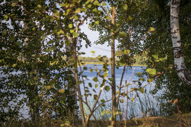 Similar image 21723231