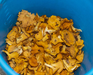 Similar image 21723235