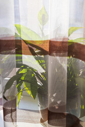 Similar image 21723485