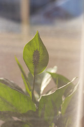 Similar image 21723490