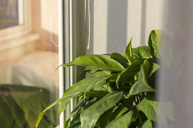 Similar image 21723494