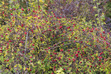 Similar image 21723497