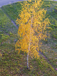 Similar image 21746936