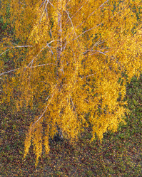 Similar image 21747724