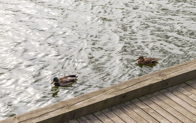 Similar image 21748004