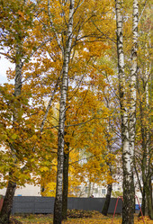 Similar image 21748007