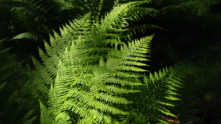 Similar image 21722763